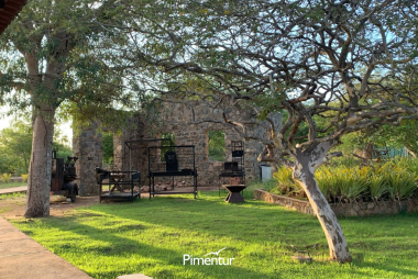 Encante-se com a beleza dos Cânios de Xingó do Velho Chico