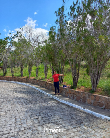 Encante-se com a beleza dos Cânios de Xingó do Velho Chico