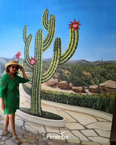 Encante-se com a beleza dos Cânios de Xingó do Velho Chico