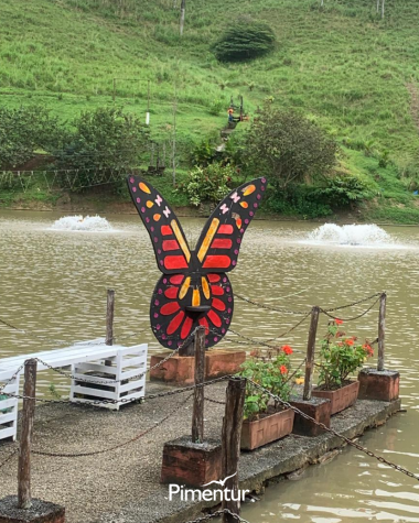 Arraiá da Pimenta em Areia - PB
