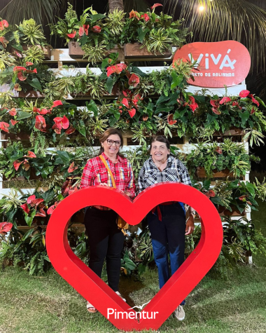 São João no Vivá Porto De Galinhas Resort | PE 