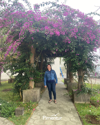 Festival das Flores em Areia | PB