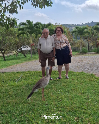 Festival das Flores em Areia | PB