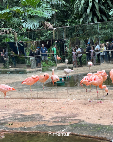 Três Fronteiras, um só encontro. 