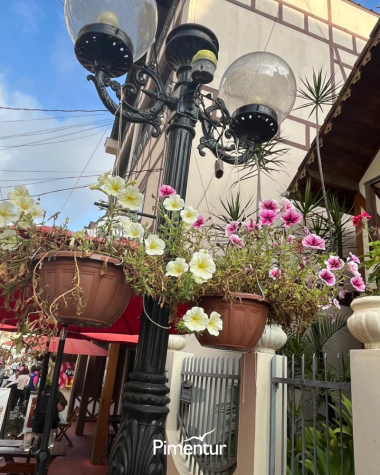 Descubra os Encantos da Terra Capixaba