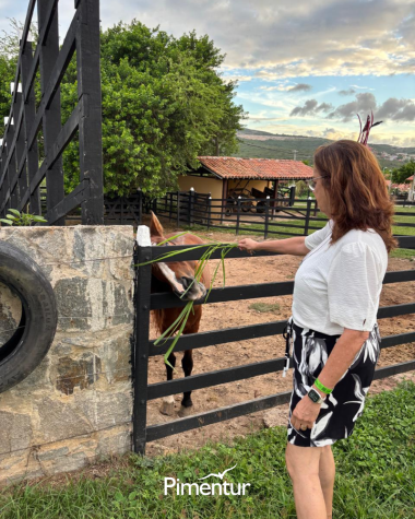 Carnaval em Pernambuco é no Portal de Gravatá | PE 