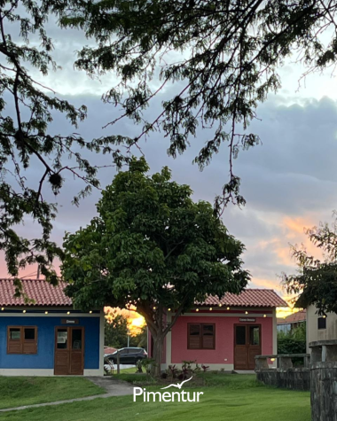 Carnaval em Pernambuco é no Portal de Gravatá | PE 