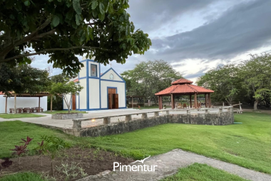 Carnaval em Pernambuco é no Portal de Gravatá | PE 