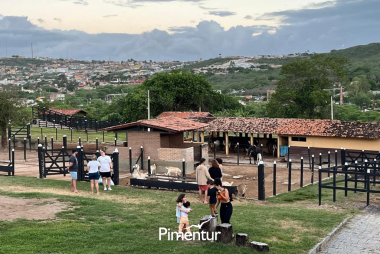 Carnaval em Pernambuco é no Portal de Gravatá | PE 